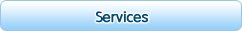 Professsional Services