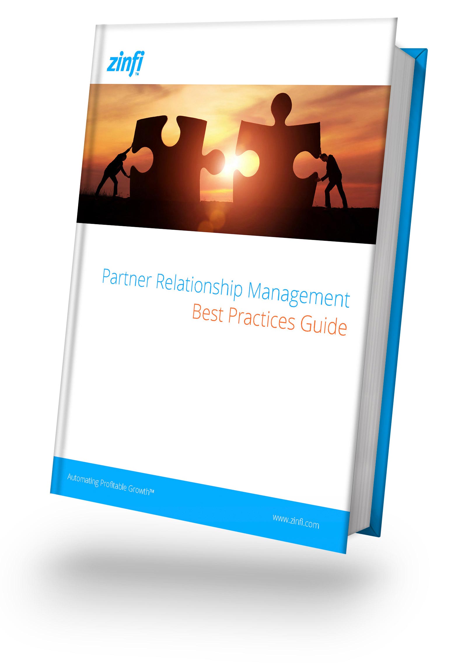 Partner Relationship Management Best Practices cover