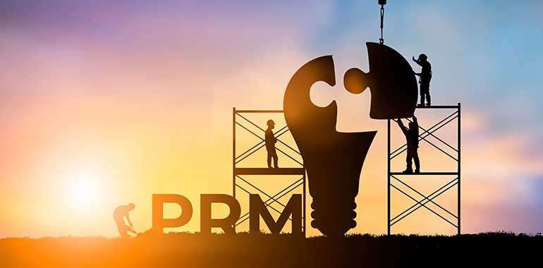 Building Bridges: Best Practices in Partner Relationship Management (PRM)